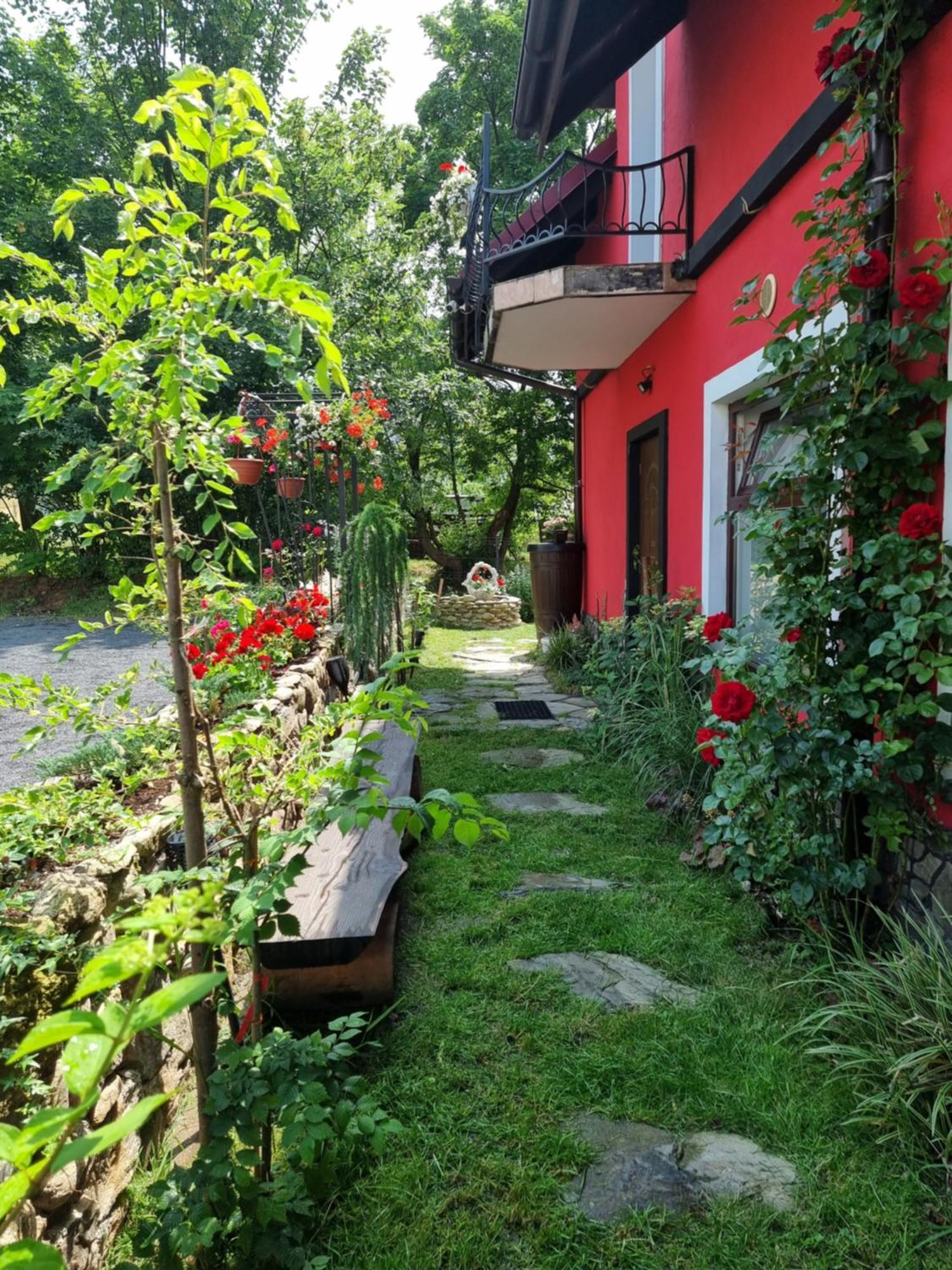 Apartamenty U Bodzia Stronie Śląskie Exteriör bild
